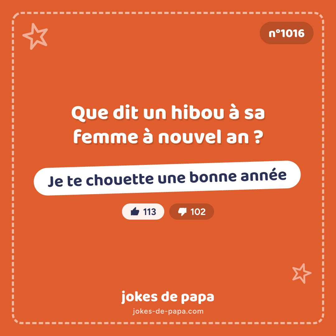 Blague n°1016 en image : Que dit un hibou à sa femme à nouvel an ? Je te chouette une bonne année