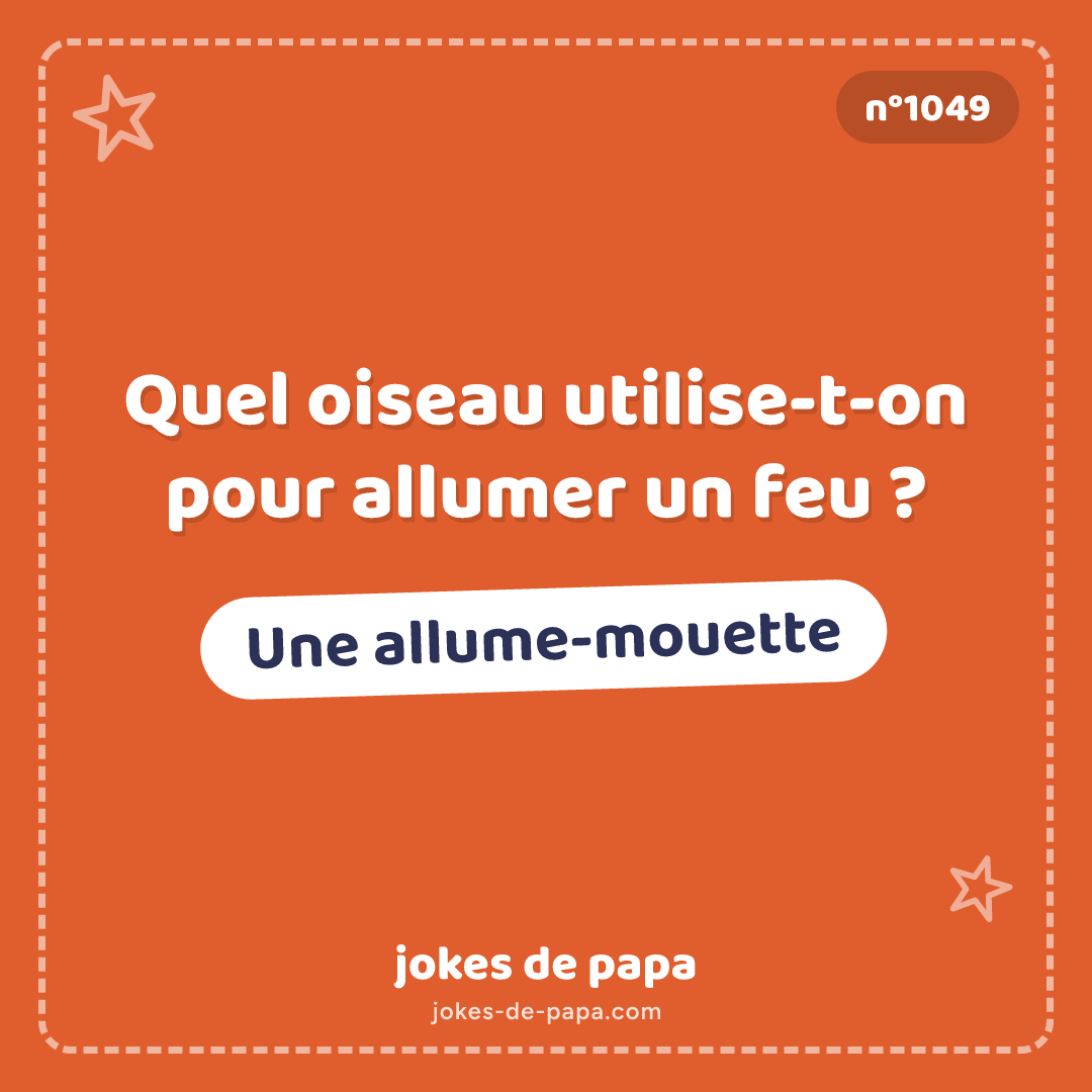 Blague n°1049 en image : Quel oiseau utilise-t-on pour allumer un feu ? Une allume-mouette