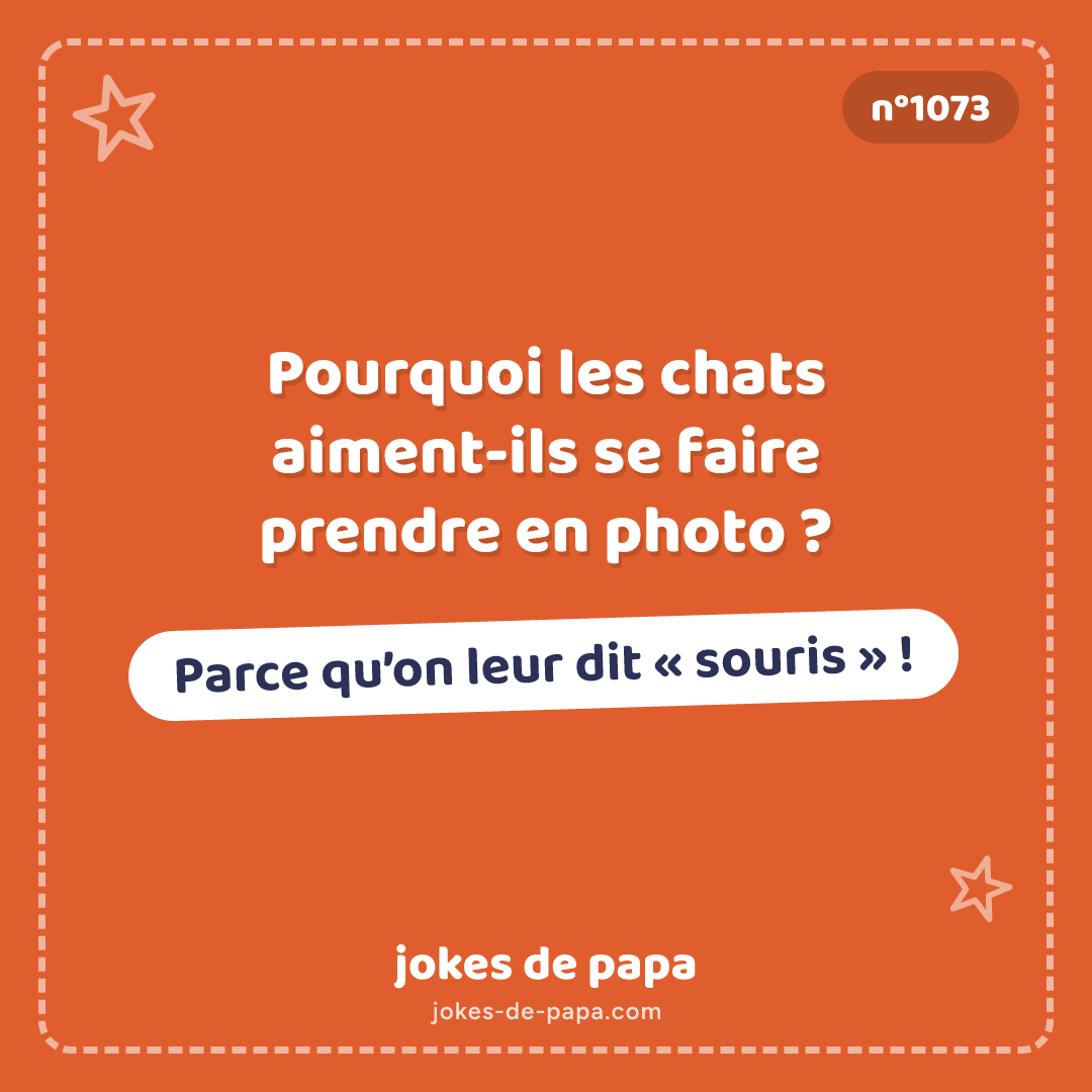 Blague n°1073 en image : Pourquoi les chats aiment-ils se faire prendre en photo ? Parce qu’on leur dit « souris » !