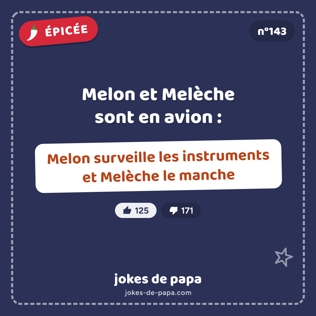Blague n°143 en image : Melon et Melèche sont en avion : Melon surveille les instruments et Melèche le manche