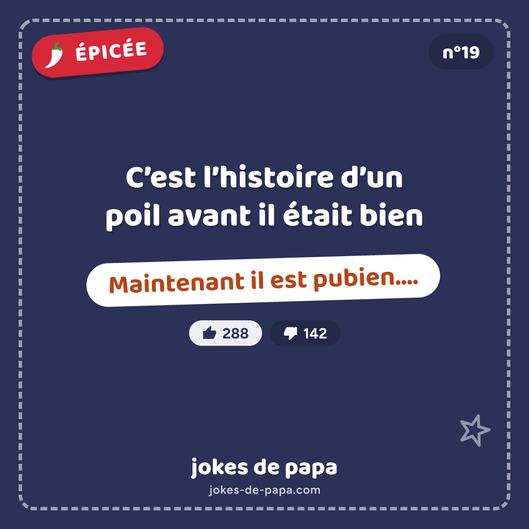 Blague n°19 en image : C’est l’histoire d’un poil avant il était bien Maintenant il est pubien….
