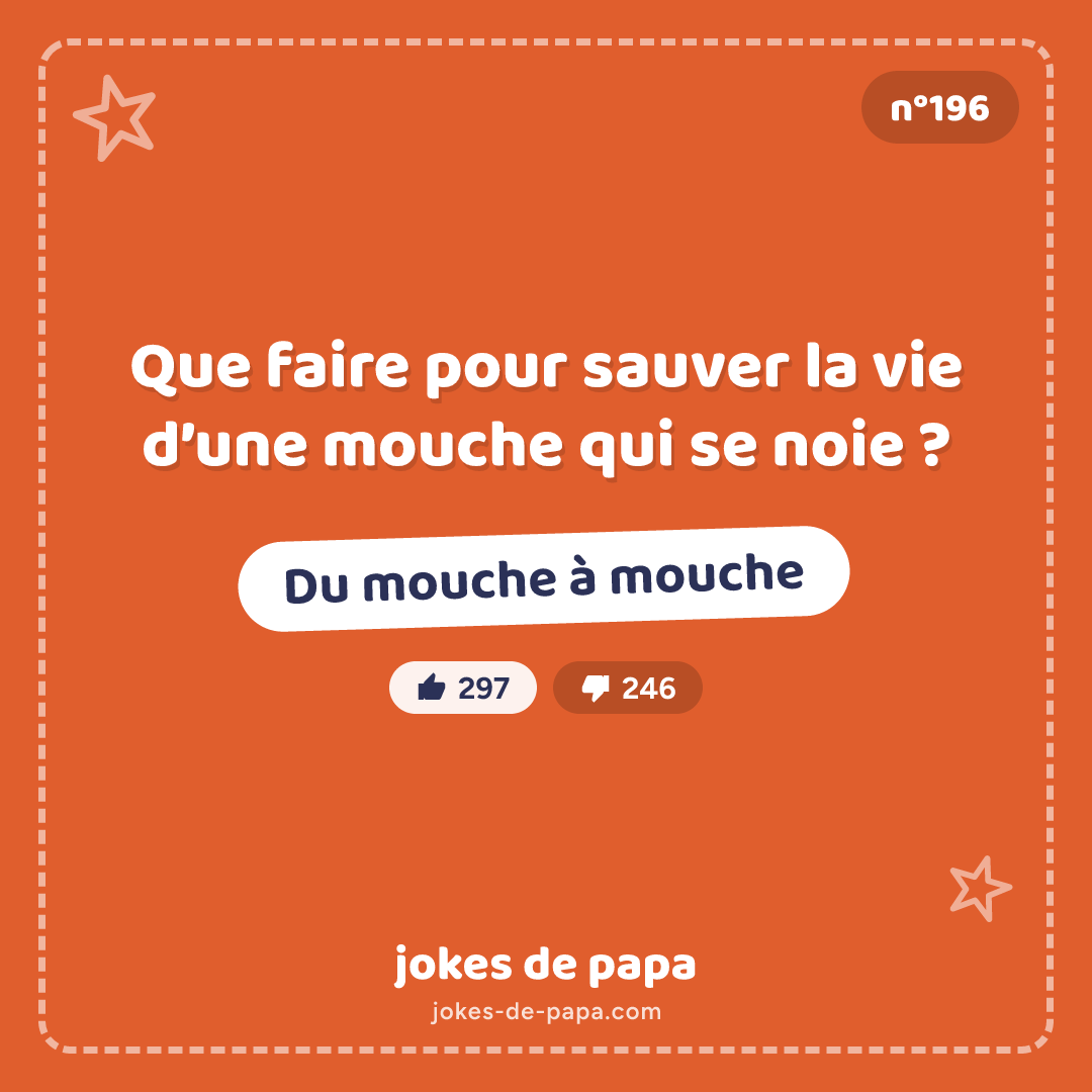 Blague n°196 en image : Que faire pour sauver la vie d’une mouche qui se noie ? Du mouche à mouche