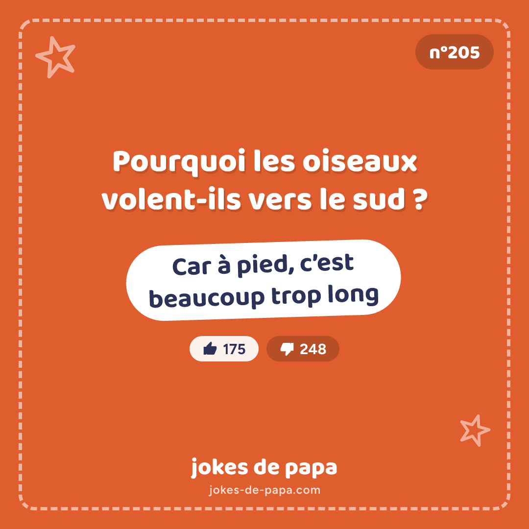 Blague n°205 en image : Pourquoi les oiseaux volent-ils vers le sud ? Car à pied, c’est beaucoup trop long