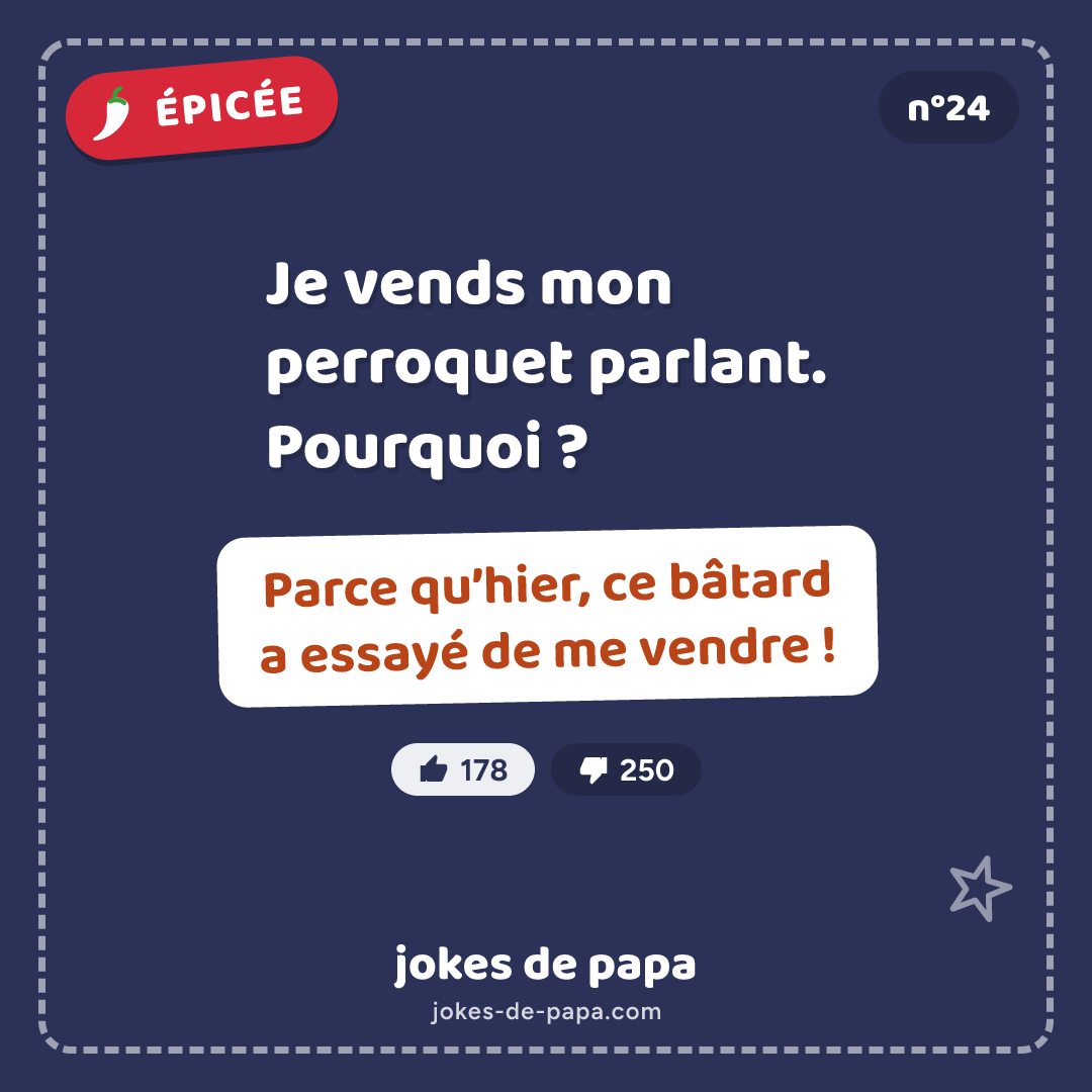 Blague n°24 en image : Je vends mon perroquet parlant. Pourquoi ? Parce qu’hier, ce bâtard a essayé de me vendre !
