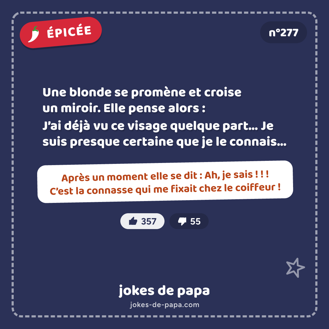 Blague n°277 en image : Une blonde se promène et croise un miroir. Elle pense alors : J’ai déjà vu ce visage quelque part… Je suis presque certaine que je le connais… Après un moment elle se dit : Ah, je sais ! ! ! C’est la connasse qui me fixait chez le coiffeur !