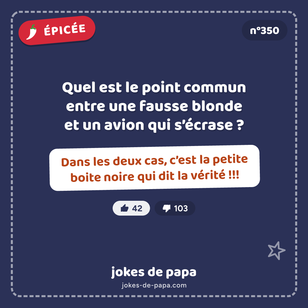 Blague n°350 en image : Quel est le point commun entre une fausse blonde et un avion qui s’écrase ? Dans les deux cas, c’est la petite boite noire qui dit la vérité !!!