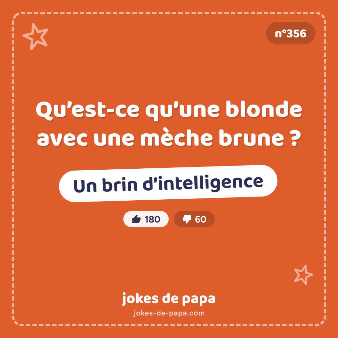 Blague n°356 en image : Qu’est-ce qu’une blonde avec une mèche brune ? Un brin d’intelligence