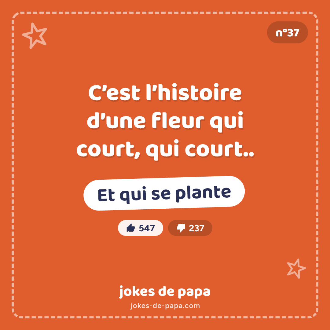 Blague n°37 en image : C’est l’histoire d’une fleur qui court, qui court.. Et qui se plante