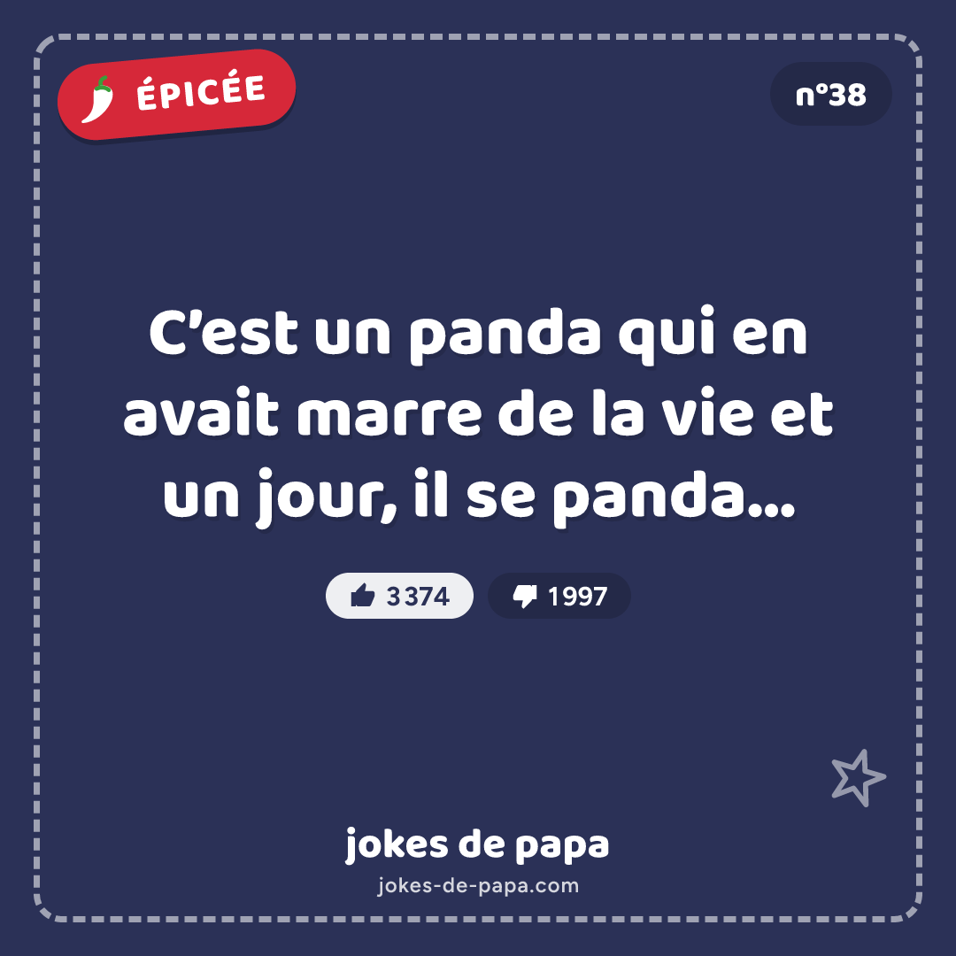 Blague n°38 en image : C’est un panda qui en avait marre de la vie et un jour, il se panda…