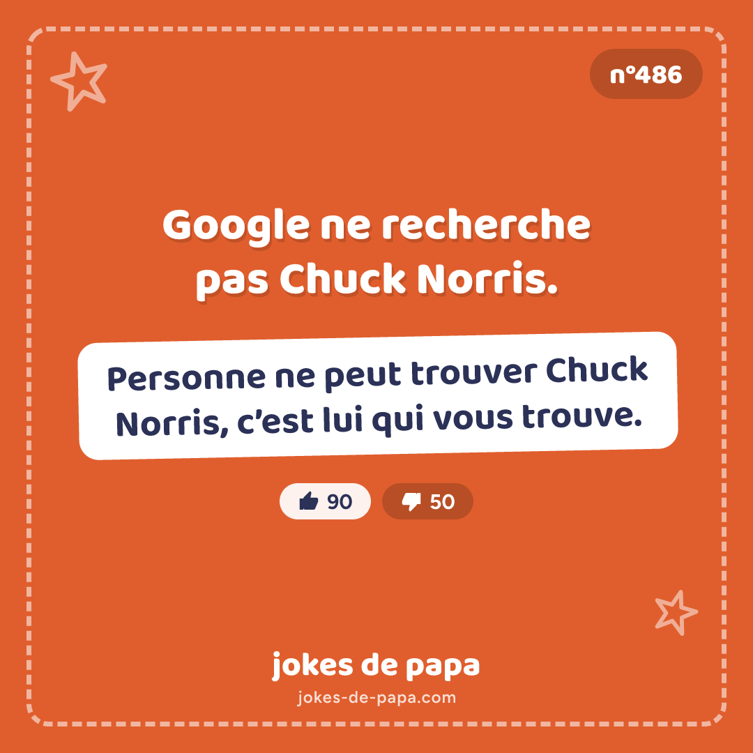 Blague n°486 en image : Google ne recherche pas Chuck Norris. Personne ne peut trouver Chuck Norris, c’est lui qui vous trouve.