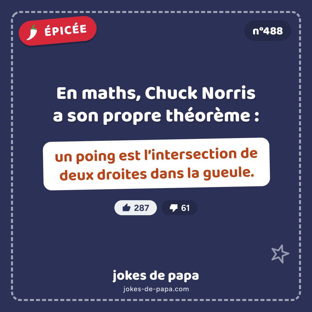 Blague n°488 en image : En maths, Chuck Norris a son propre théorème : un poing est l’intersection de deux droites dans la gueule.