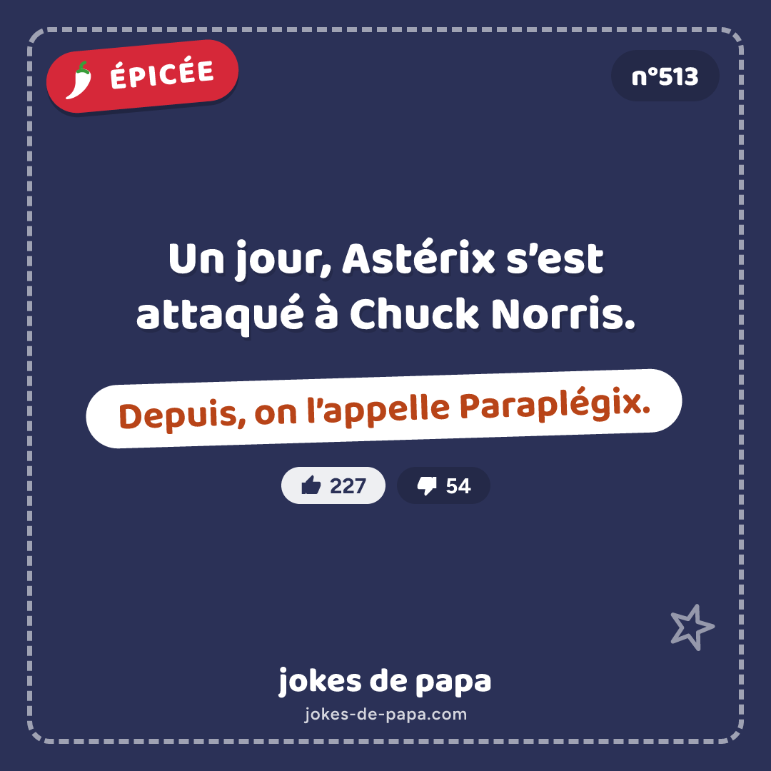 Blague n°513 en image : Un jour, Astérix s’est attaqué à Chuck Norris. Depuis, on l’appelle Paraplégix.