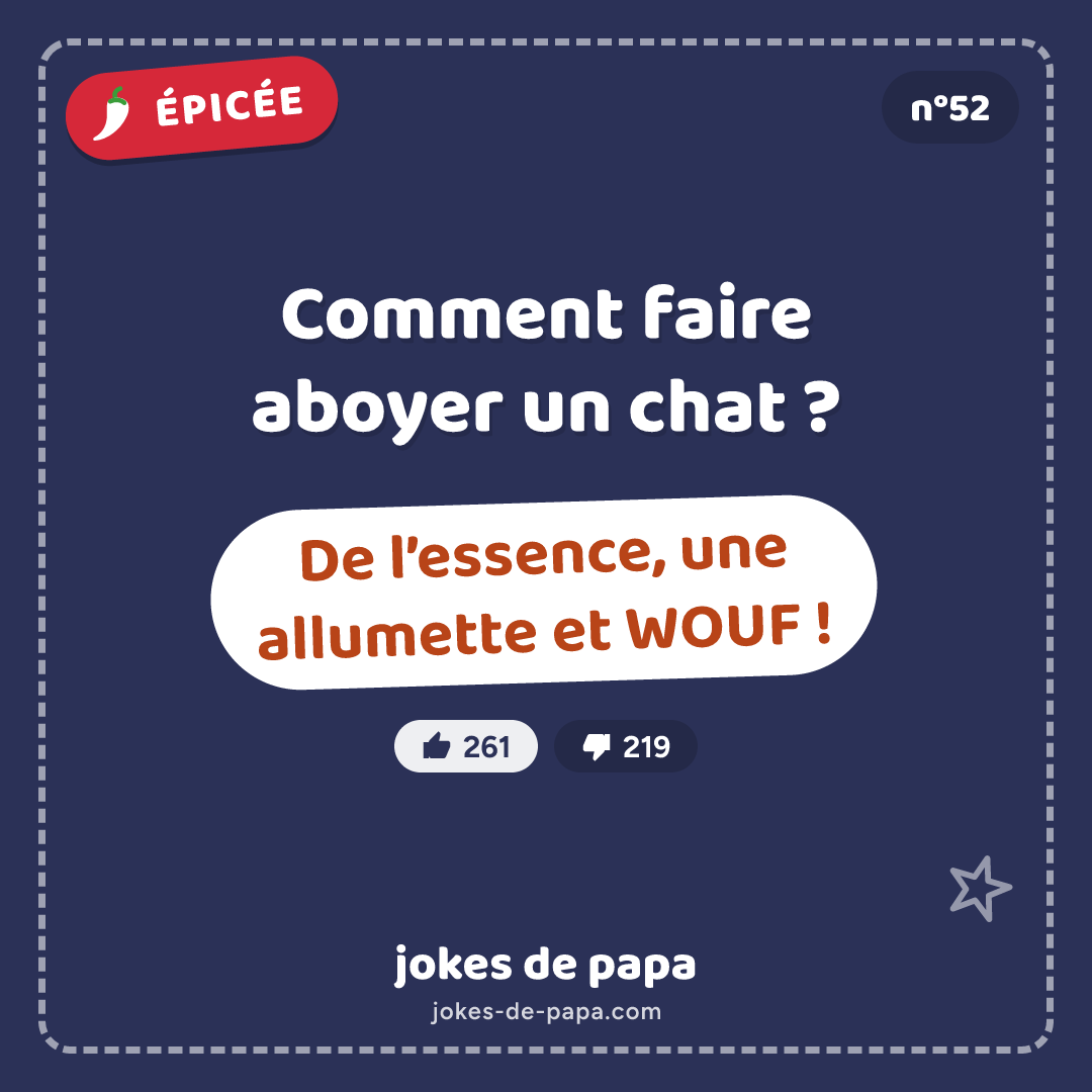 Blague n°52 en image : Comment faire aboyer un chat ? De l’essence, une allumette et WOUF !