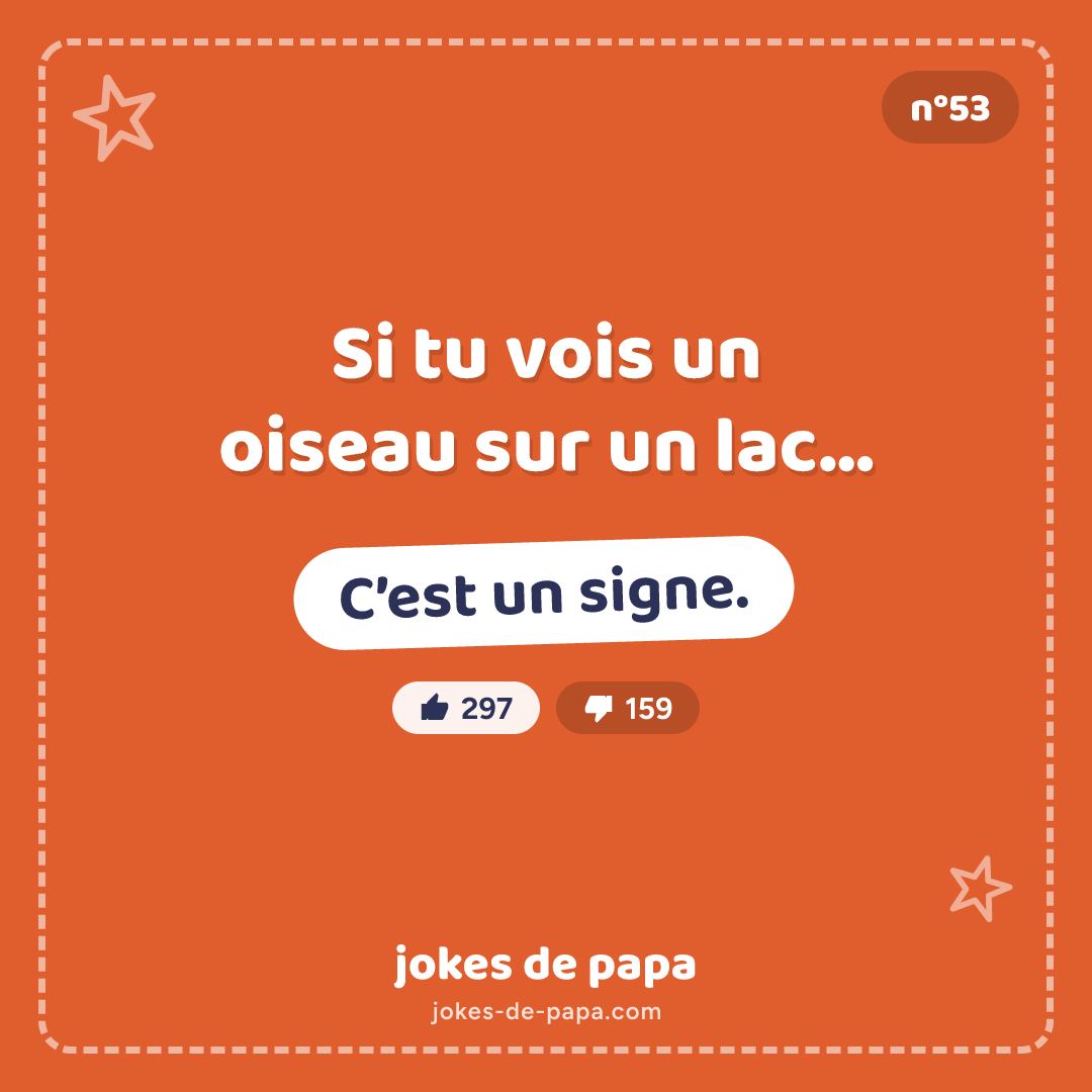 Blague n°53 en image : Si tu vois un oiseau sur un lac… C’est un signe.
