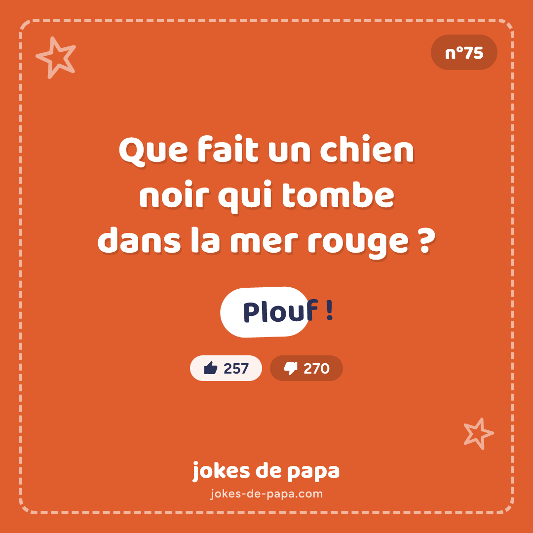 Blague n°75 en image : Que fait un chien noir qui tombe dans la mer rouge ? Plouf !