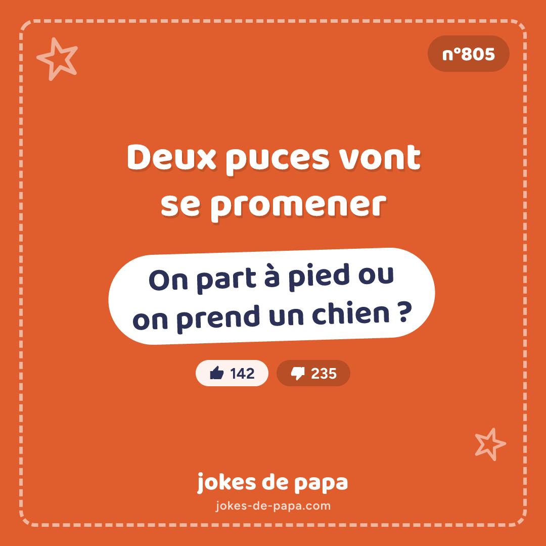 Blague n°805 en image : Deux puces vont se promener – On part à pied ou on prend un chien ?