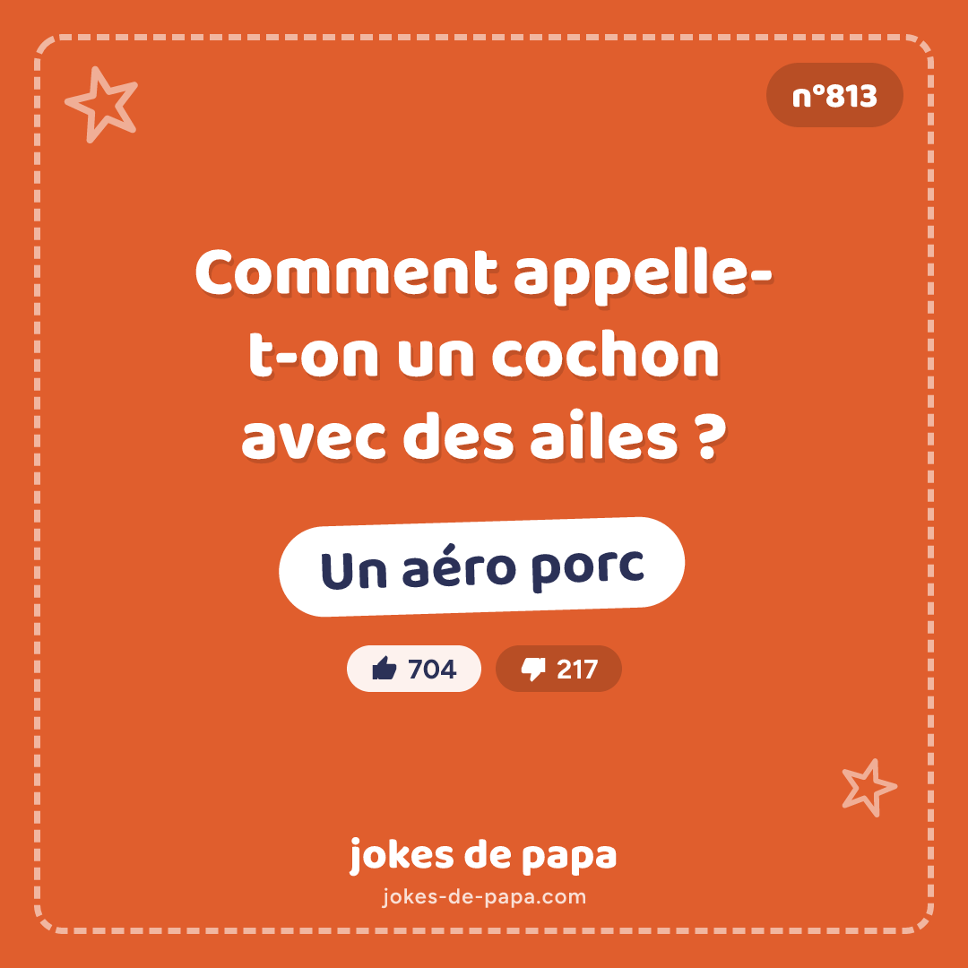 Blague n°813 en image : Comment appelle-t-on un cochon avec des ailes ? Un aéro porc