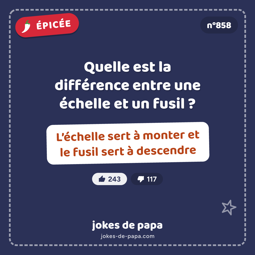 Blague n°858 en image : Quelle est la différence entre une échelle et un fusil ? L’échelle sert à monter et le fusil sert à descendre