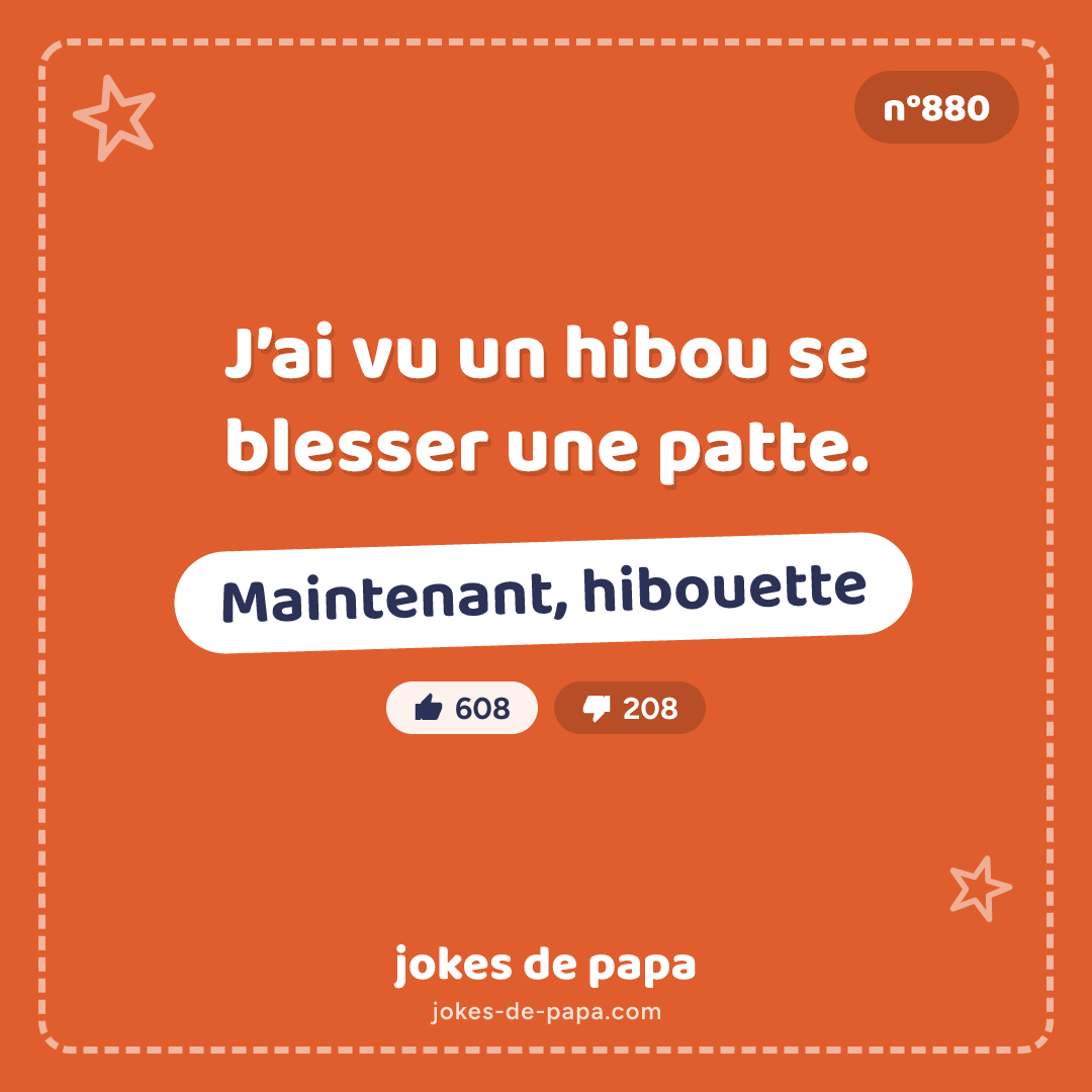 Blague n°880 en image : J’ai vu un hibou se blesser une patte. Maintenant, hibouette