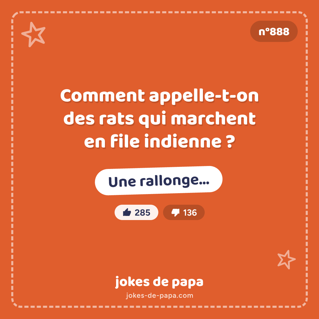 Blague n°888 en image : Comment appelle-t-on des rats qui marchent en file indienne ? Une rallonge…