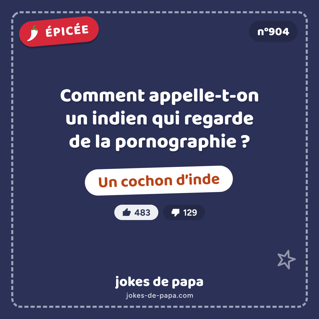Blague n°904 en image : Comment appelle-t-on un indien qui regarde de la pornographie ? Un cochon d’inde