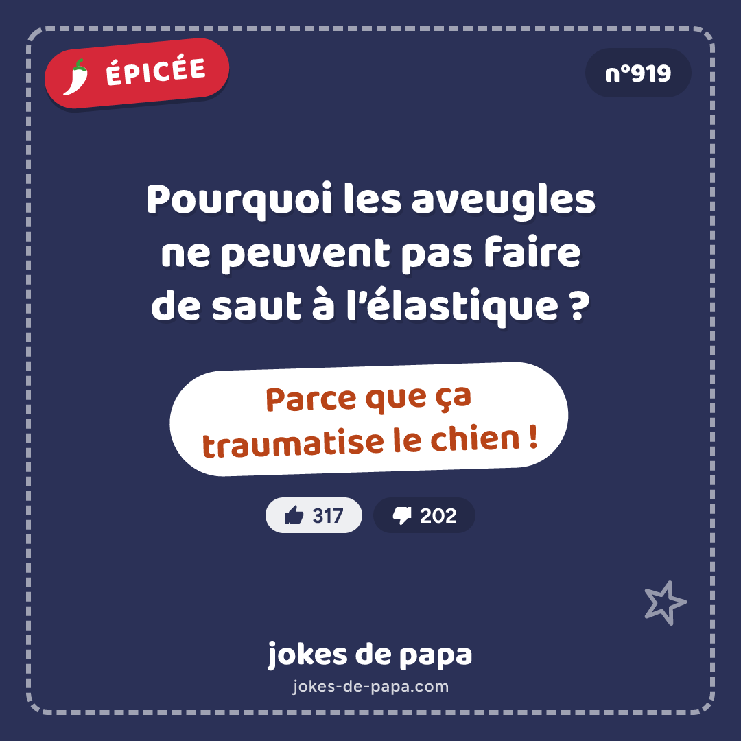 Blague n°919 en image : Pourquoi les aveugles ne peuvent pas faire de saut à l’élastique ? Parce que ça traumatise le chien !