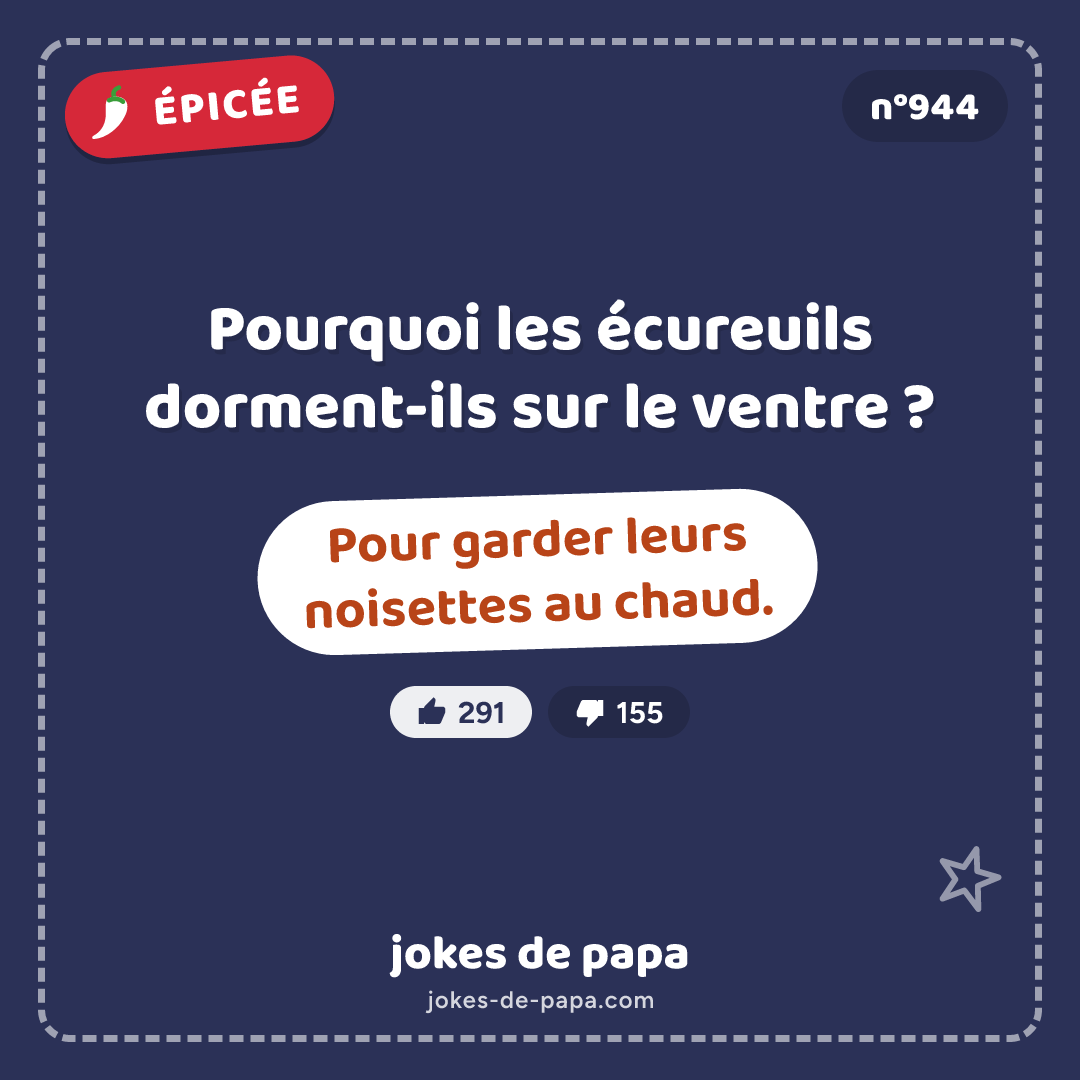 Blague n°944 en image : Pourquoi les écureuils dorment-ils sur le ventre ? Pour garder leurs noisettes au chaud.