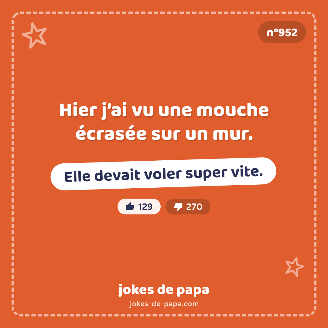 Blague n°952 en image : Hier j’ai vu une mouche écrasée sur un mur. Elle devait voler super vite.