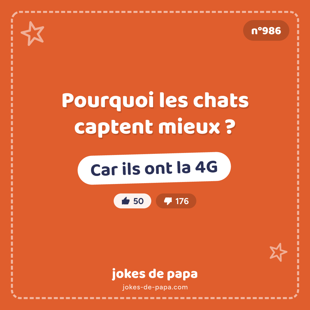 Blague n°986 en image : Pourquoi les chats captent mieux ? Car ils ont la 4G
